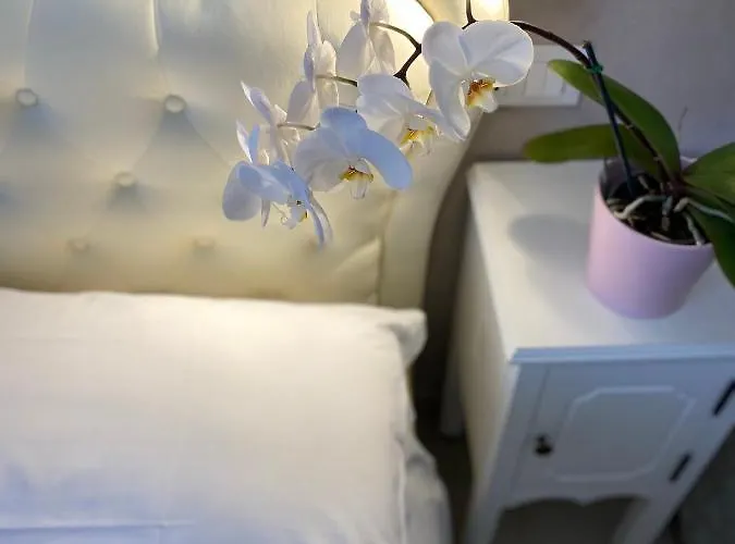 Gasthof Domus Valadier Fiumicino