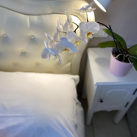 Guest house Domus Valadier Fiumicino